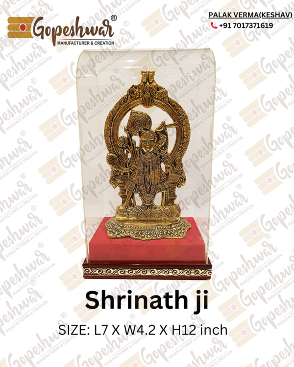 Shrinath ji