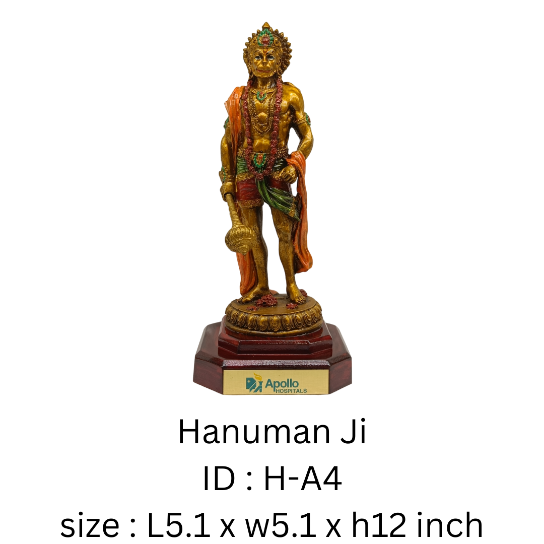 Hanuman Ji H-A4