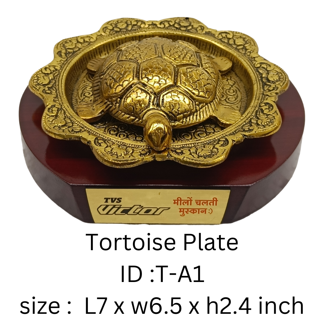 Tortoise Plate T-A1