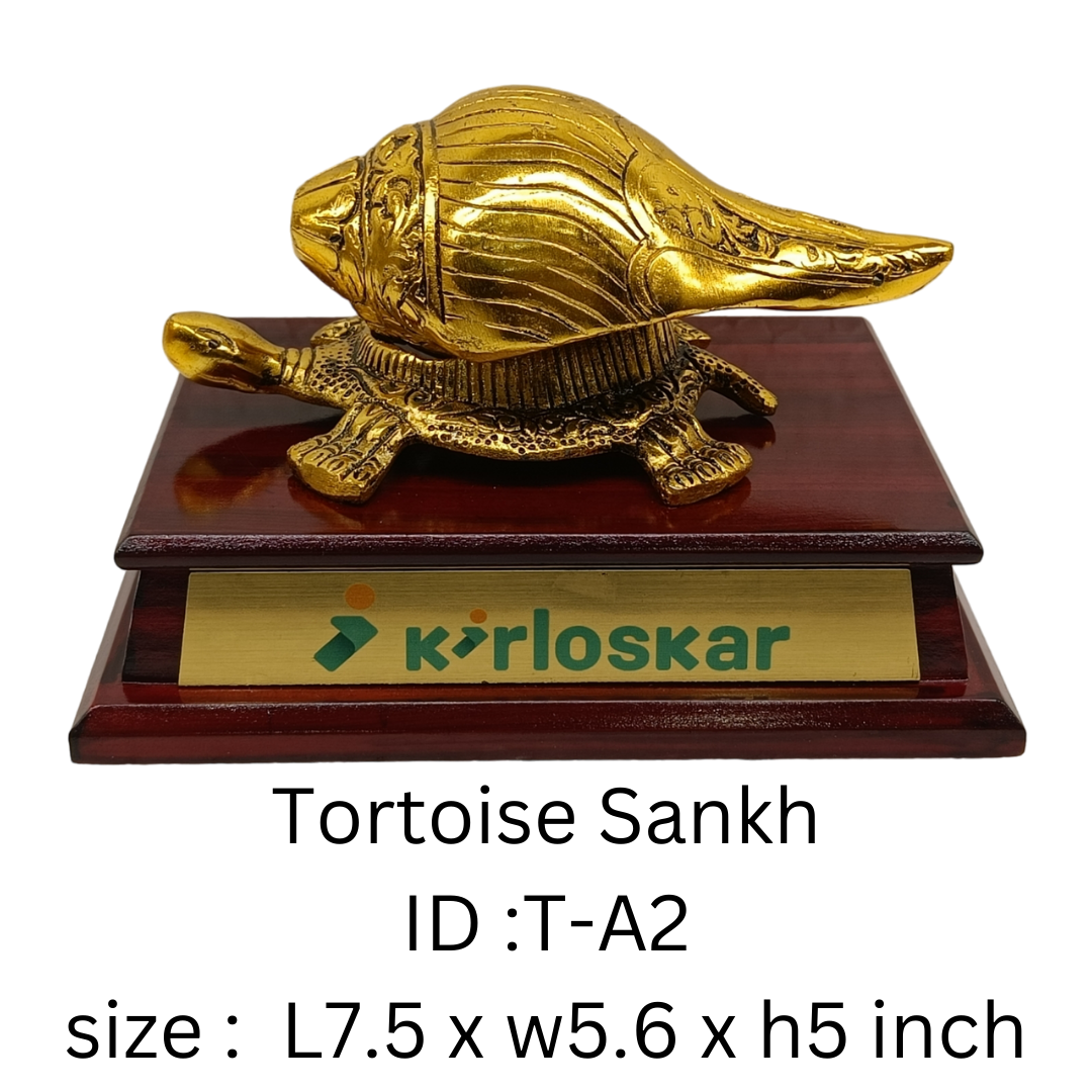 Tortoise Sankh T-A2